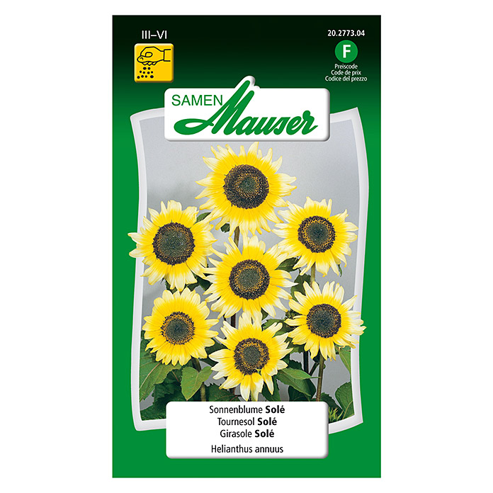 Tournesol «Sole»