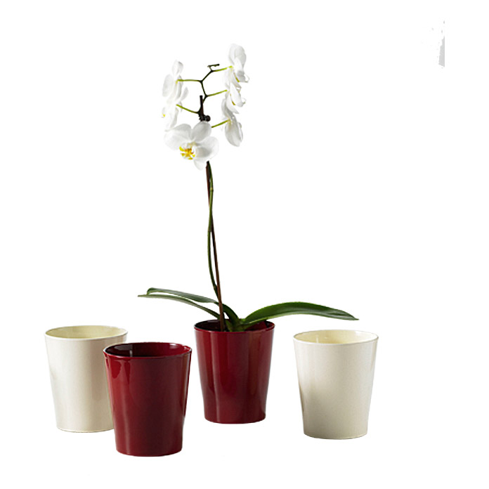 Pot pour orchidées SK Mérina