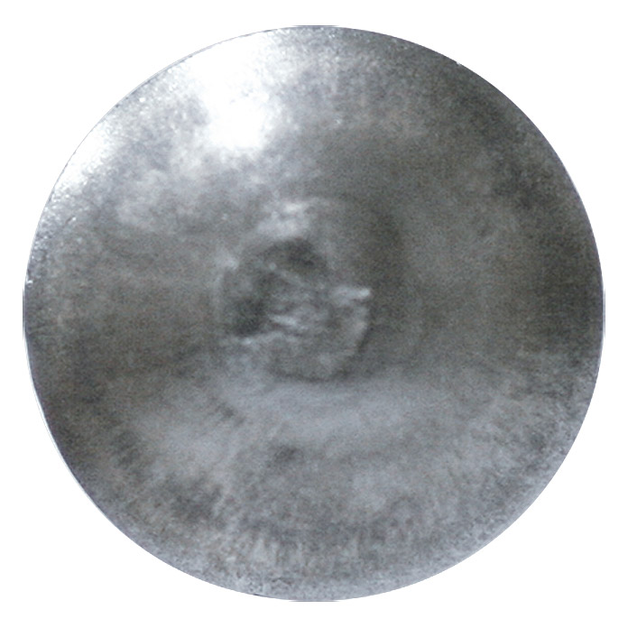 PROFI DEPOT Vis tête ronde à collet carré avec écrou Ø x L: M5 x 50 mm